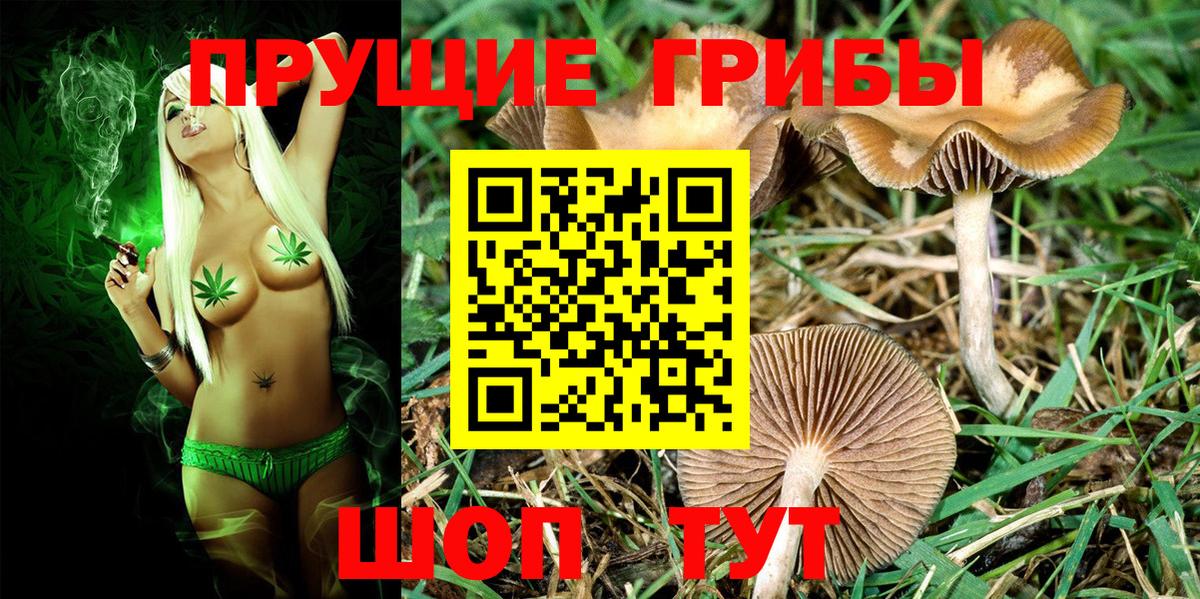 Псилоцибиновые грибы прущие грибы  Вход с VPN  Топки 
