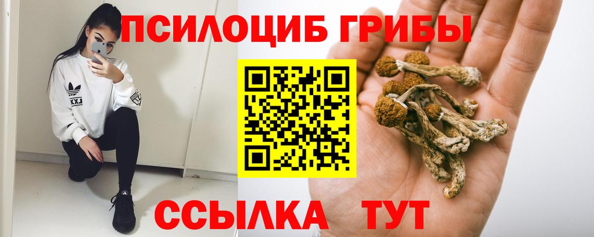 Галлюциногенные грибы мицелий Топки